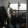casethecreep Altpins Profile Picture