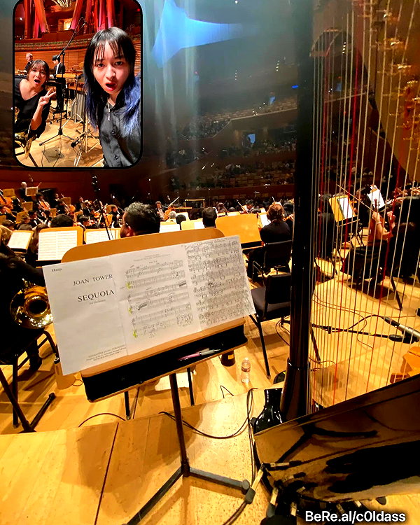 cassyxhuang cassyxhuang archive image