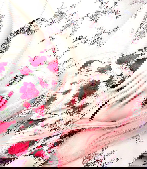 cata.leyah image ~ Altpins