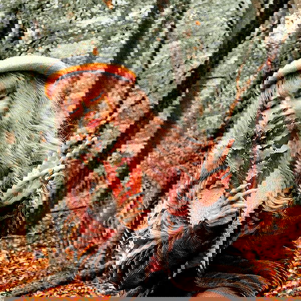 cata.leyah image ~ Altpins