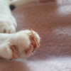 cata.leyah Altpins Profile Picture