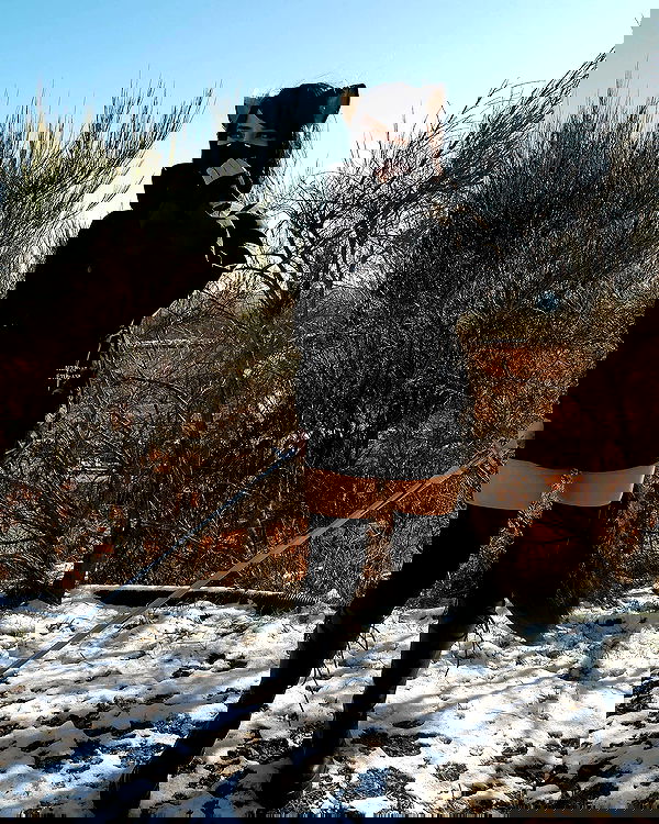 cata.leyah image ~ Altpins