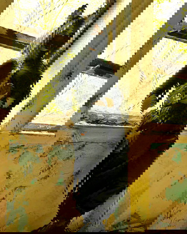 cata.leyah image ~ Altpins