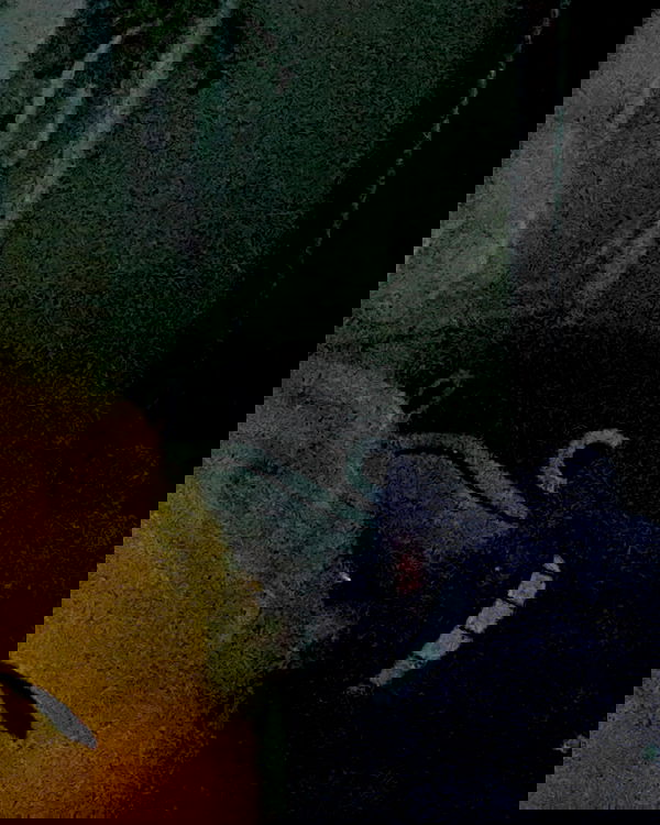 cata.leyah image ~ Altpins