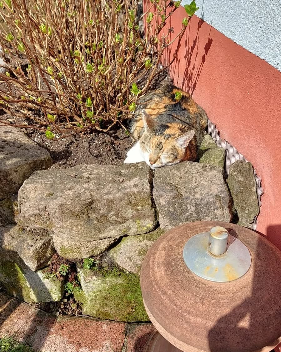 cata.leyah instagram image archive image