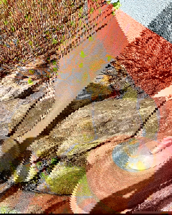 cata.leyah image ~ Altpins