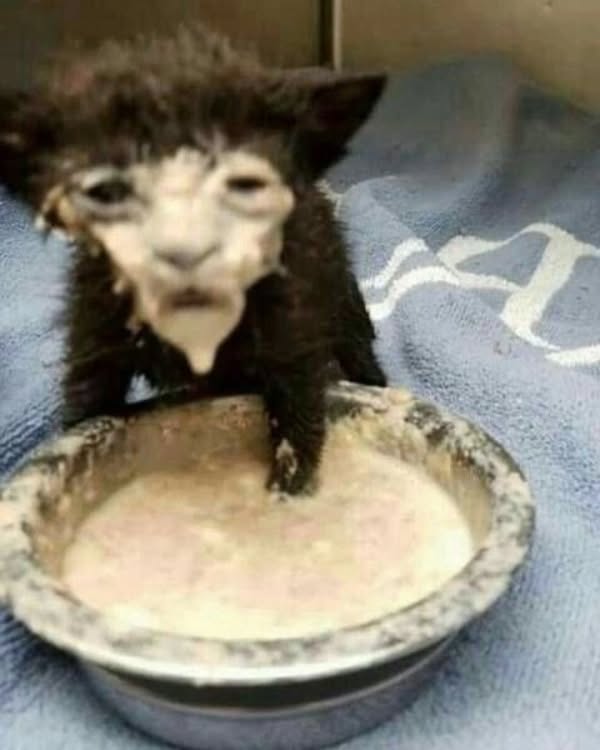 cata.leyah instagram image archive image