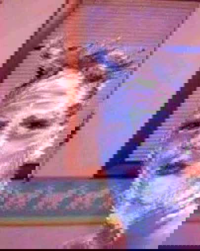 cata.leyah image ~ Altpins