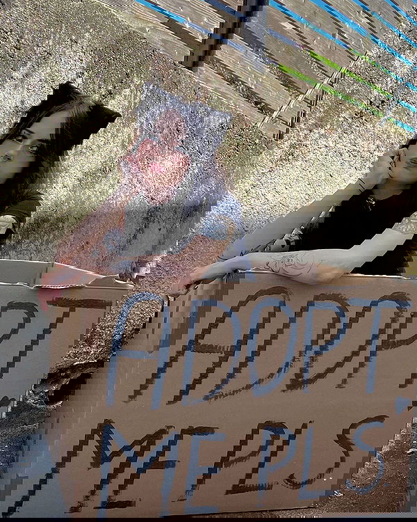 cata.leyah image ~ Altpins