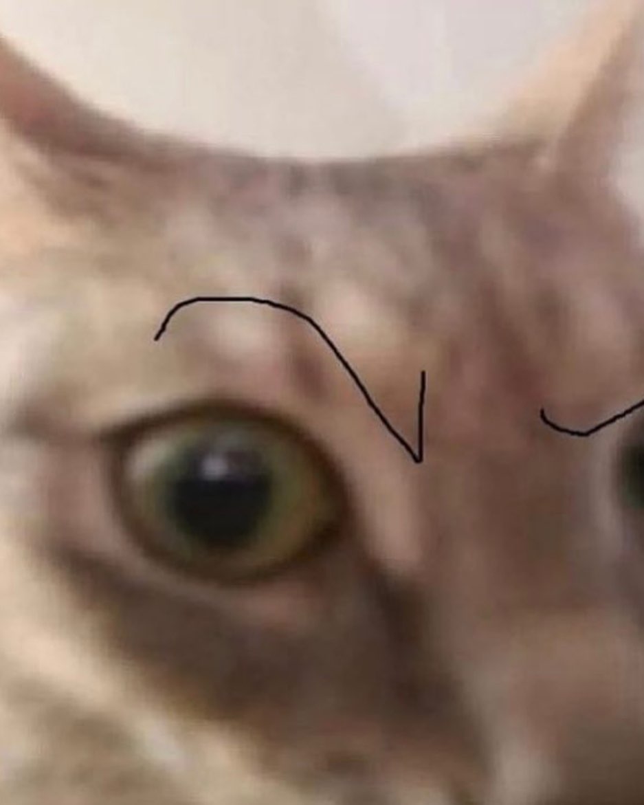 cata.leyah instagram image archive image