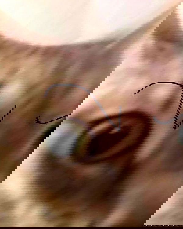 cata.leyah image ~ Altpins