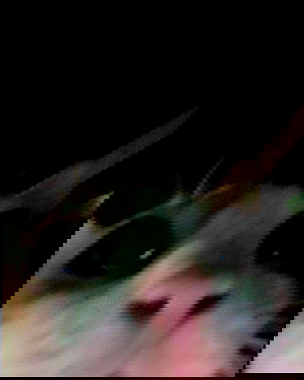 cata.leyah image ~ Altpins