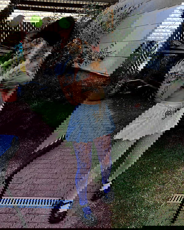 cata.leyah image ~ Altpins