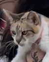 cata.leyah Altpins Profile Picture