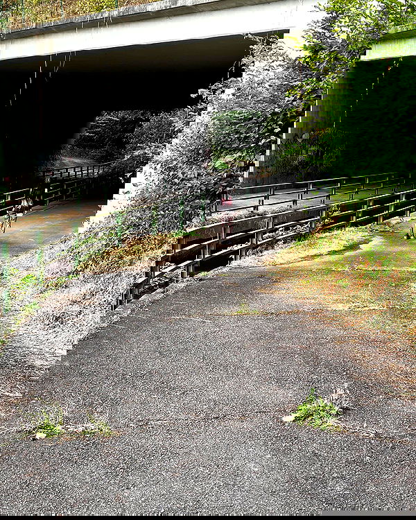 cata.leyah image ~ Altpins