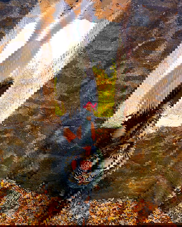 cata.leyah image ~ Altpins