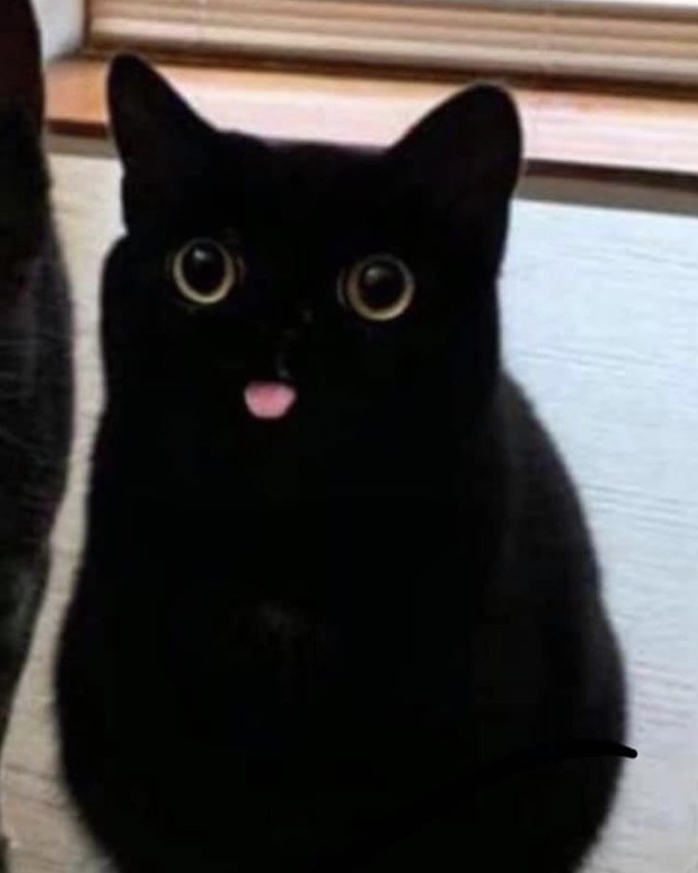 cata.leyah instagram image archive image