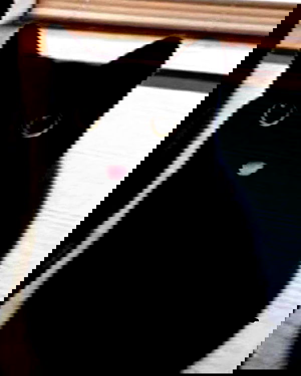 cata.leyah image ~ Altpins