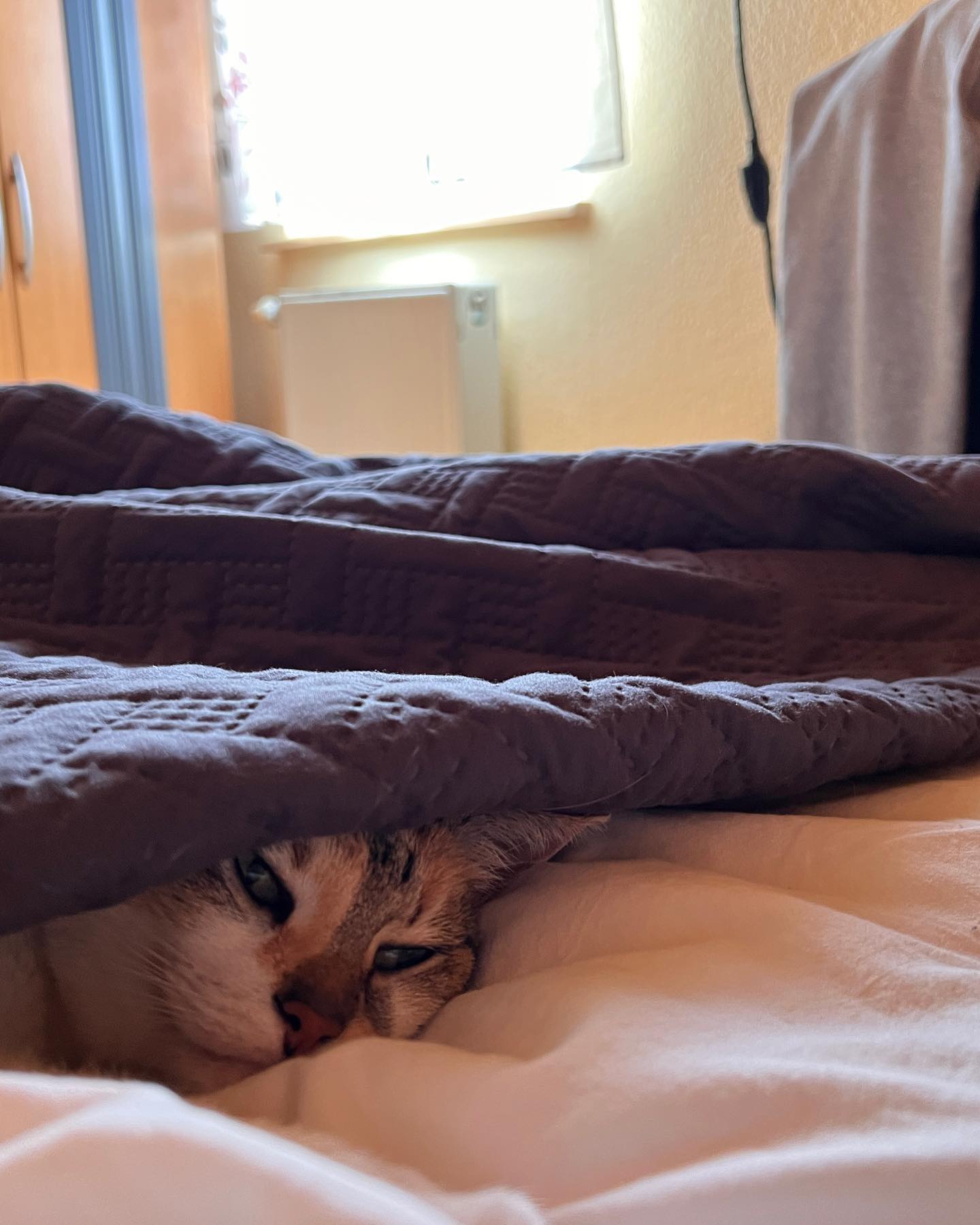 cata.leyah instagram image archive image