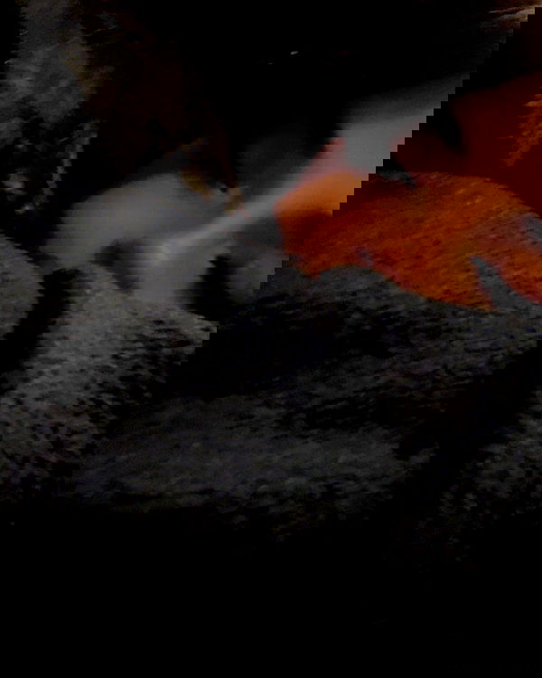 cata.leyah image ~ Altpins