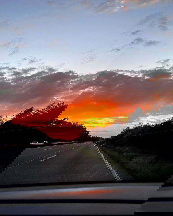 cata.leyah image ~ Altpins