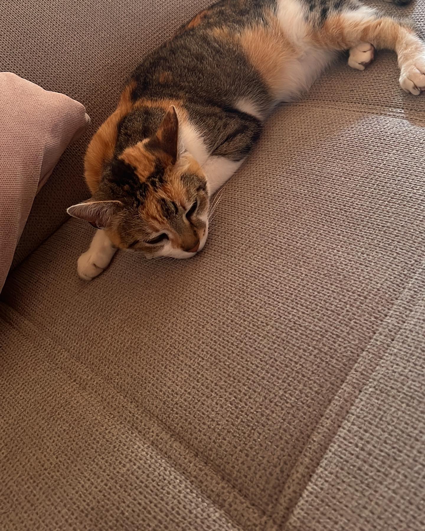 cata.leyah instagram image archive image