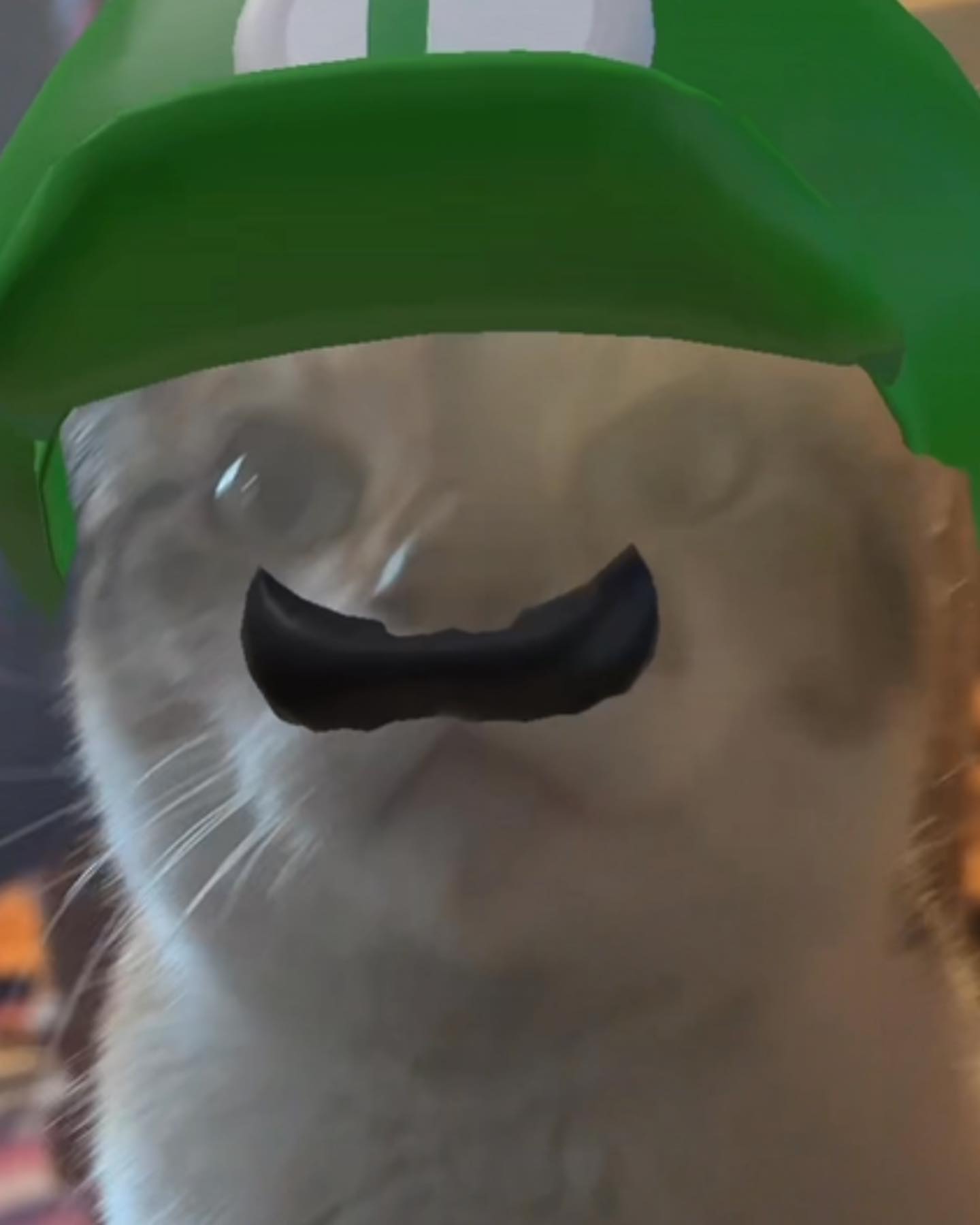 cata.leyah instagram image archive image