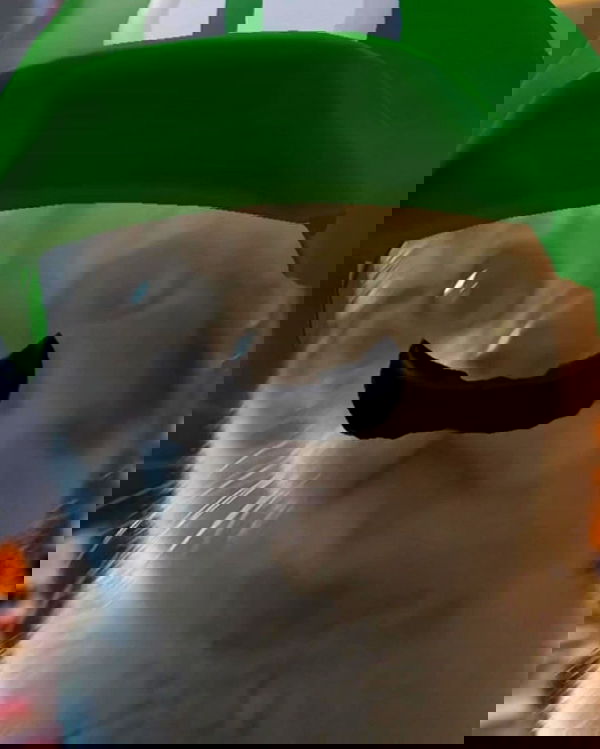 cata.leyah image ~ Altpins