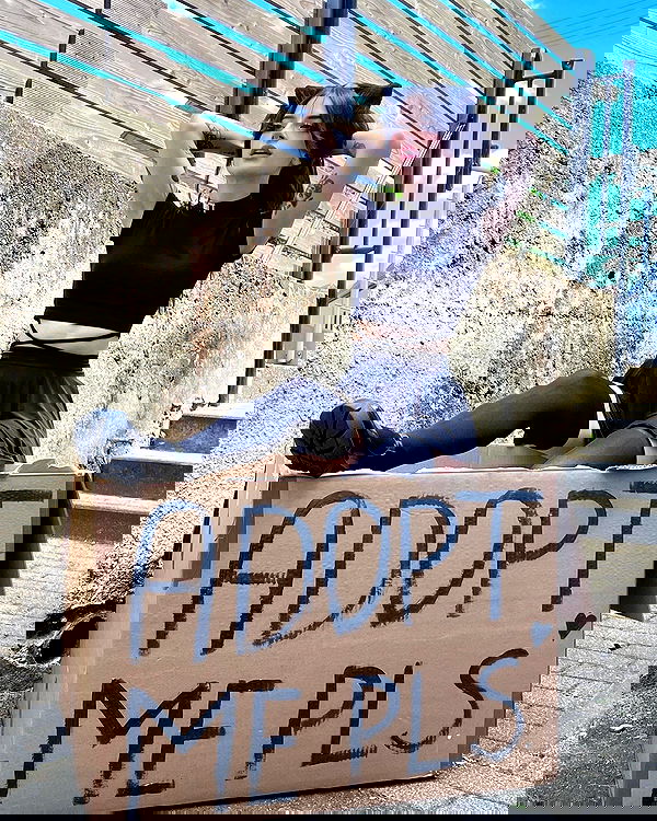 cata.leyah image ~ Altpins