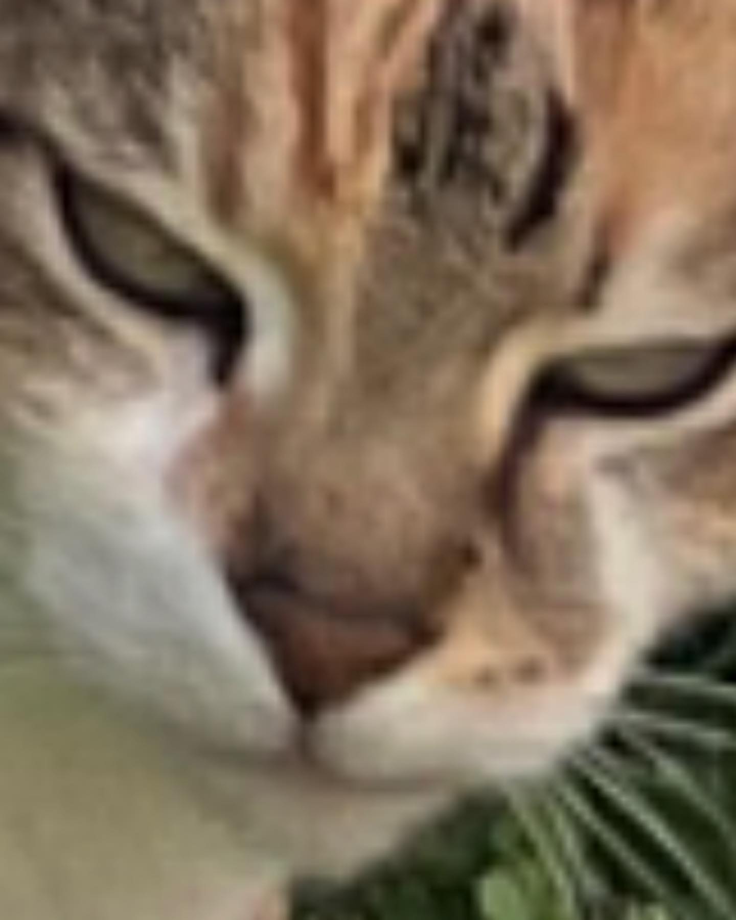 cata.leyah instagram image archive image