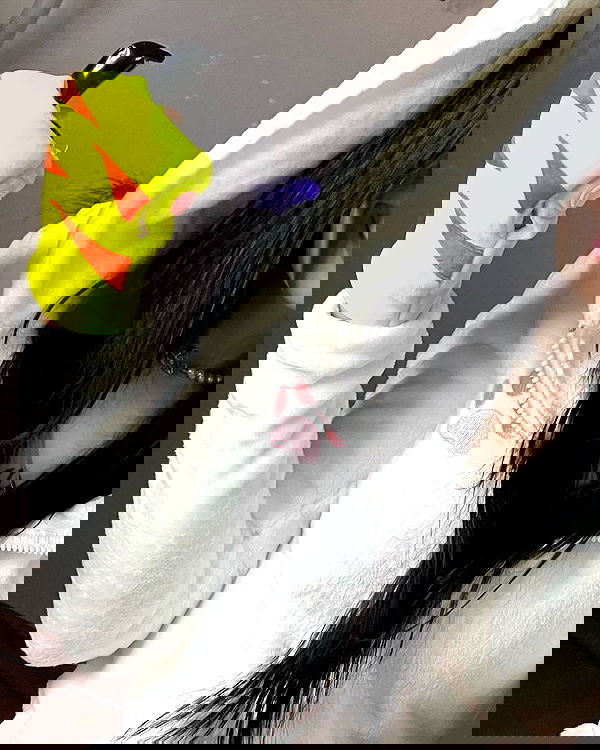 cata.leyah image ~ Altpins