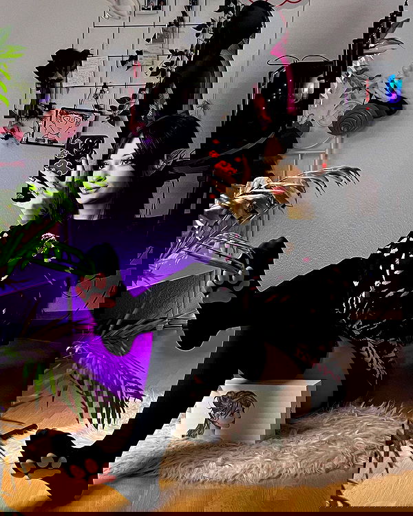 cata.leyah image ~ Altpins