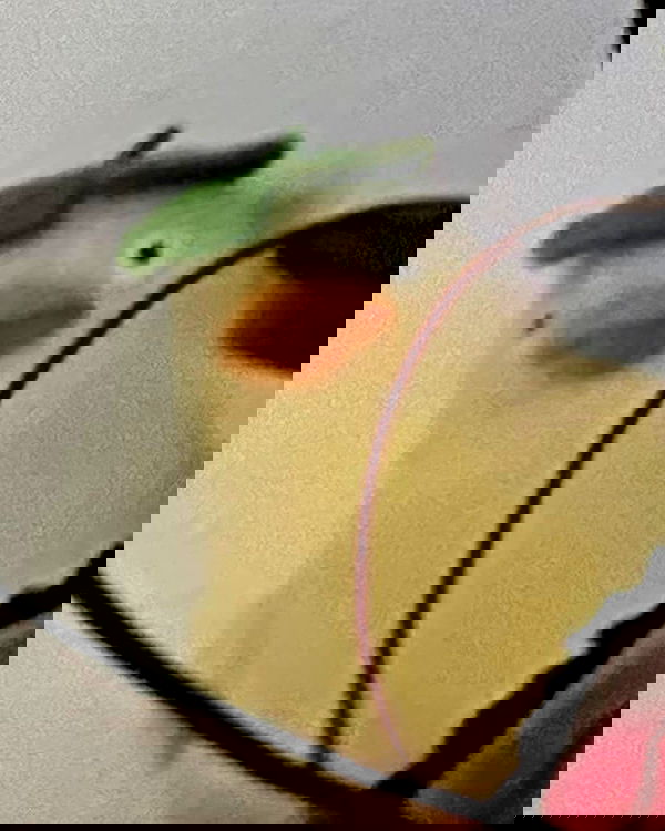 cata.leyah image ~ Altpins