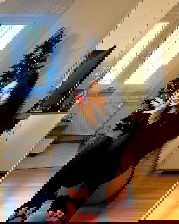 cata.leyah image ~ Altpins