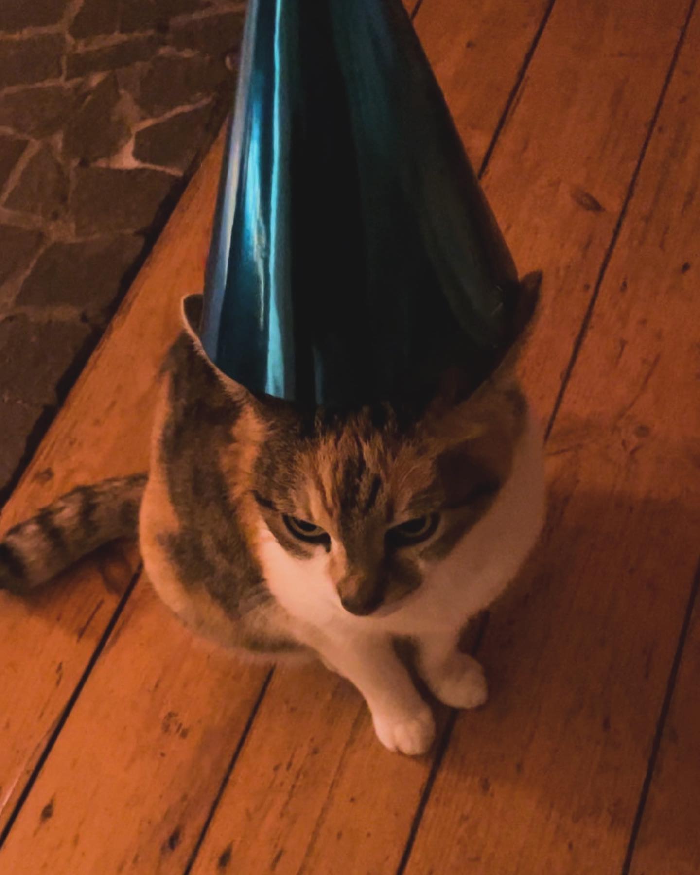 cata.leyah instagram image archive image