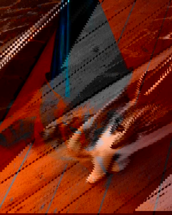 cata.leyah image ~ Altpins