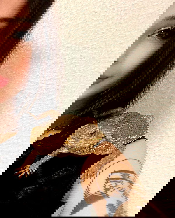 cata.leyah image ~ Altpins