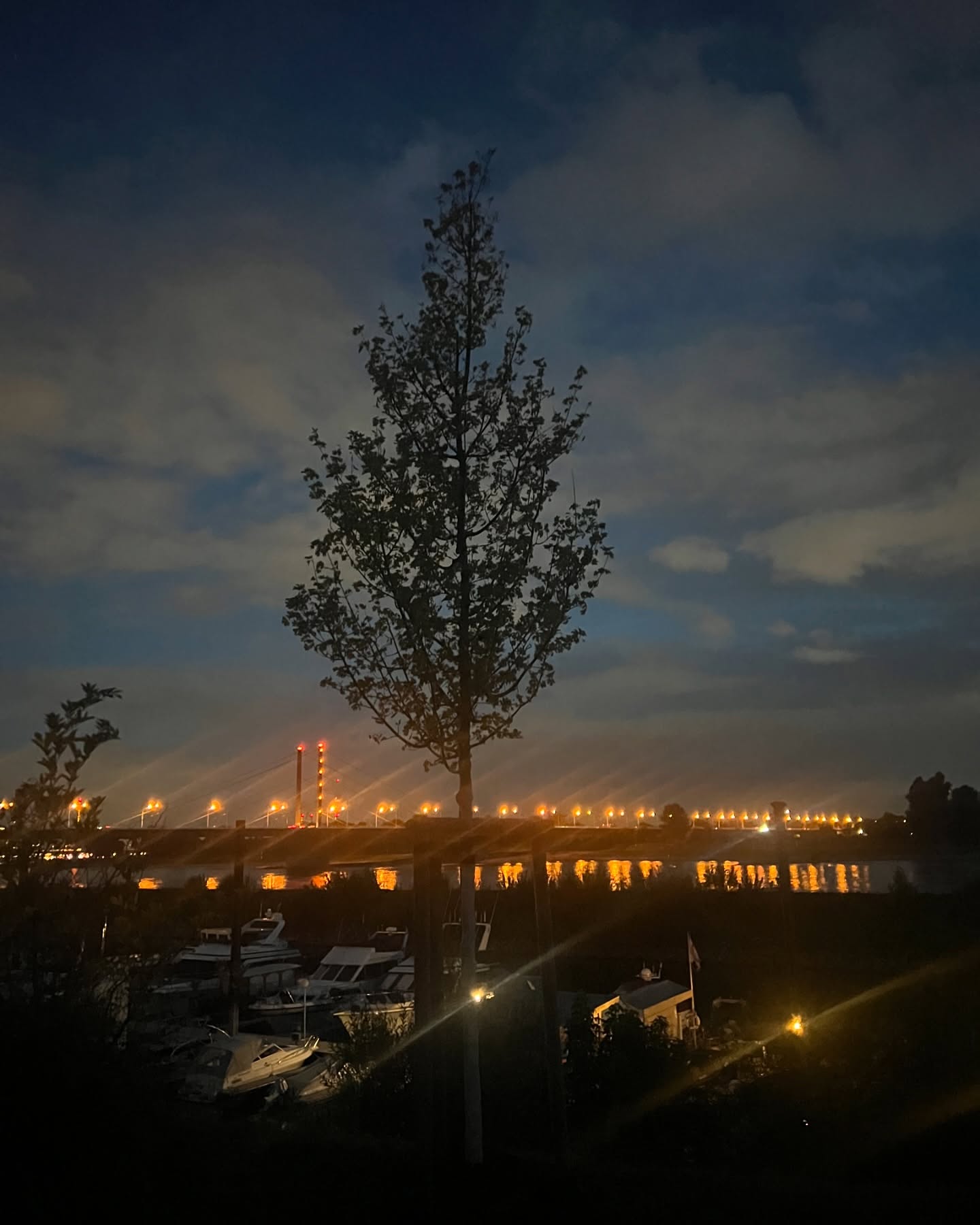 cata.leyah instagram image archive image