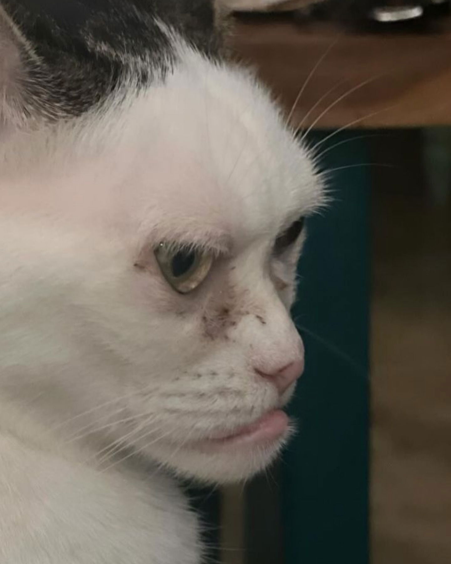 cata.leyah instagram image archive image