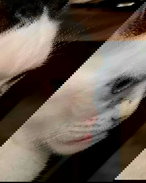 cata.leyah image ~ Altpins