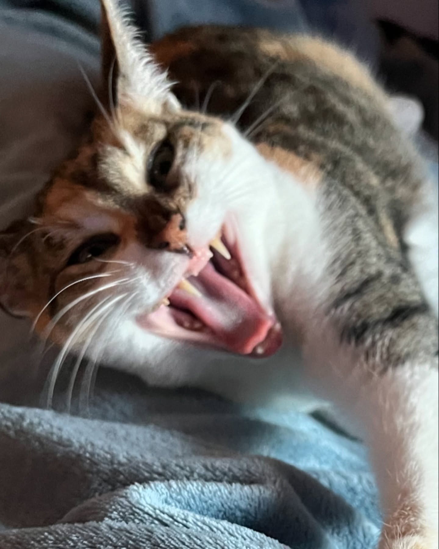 cata.leyah instagram image archive image