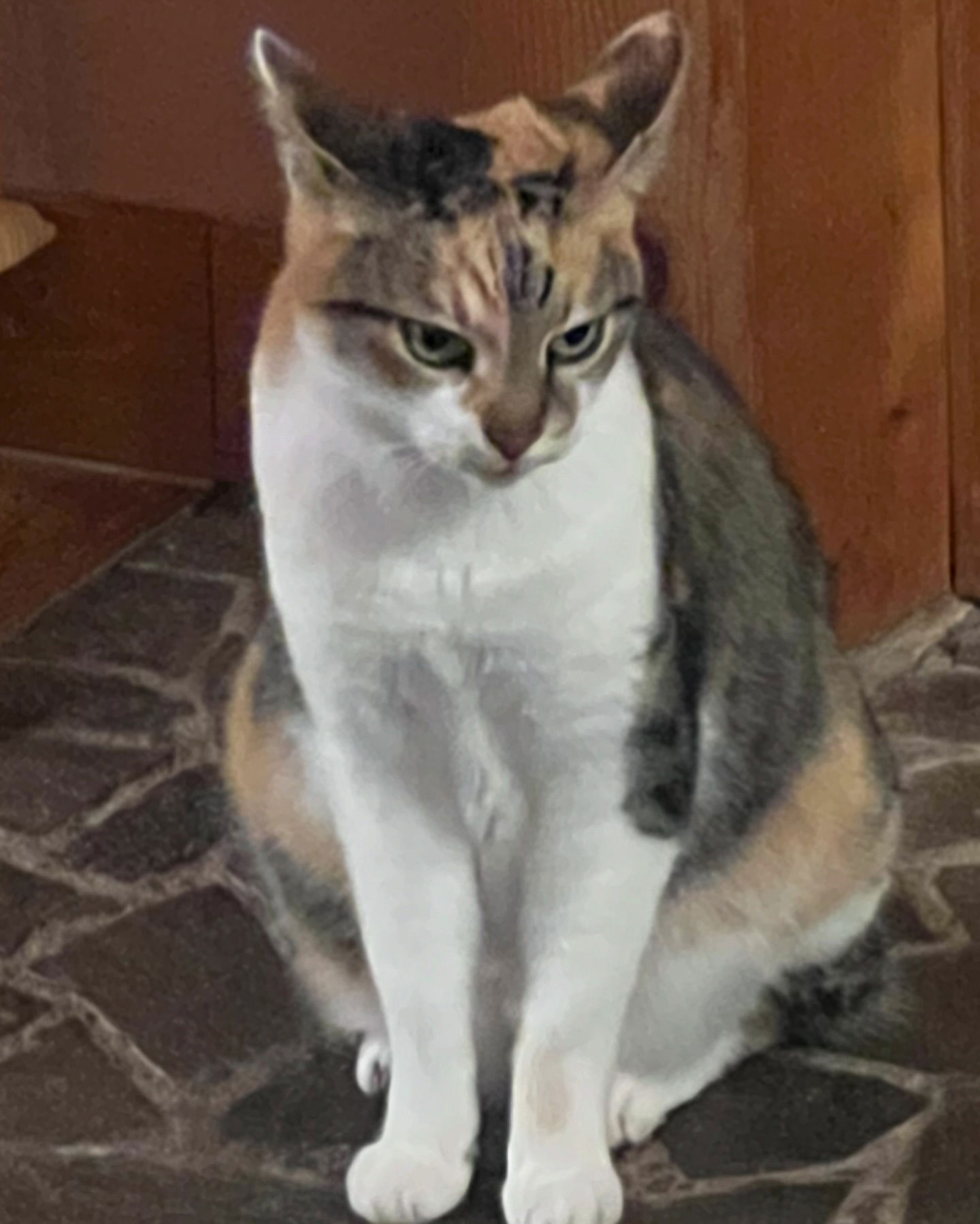 cata.leyah instagram image archive image