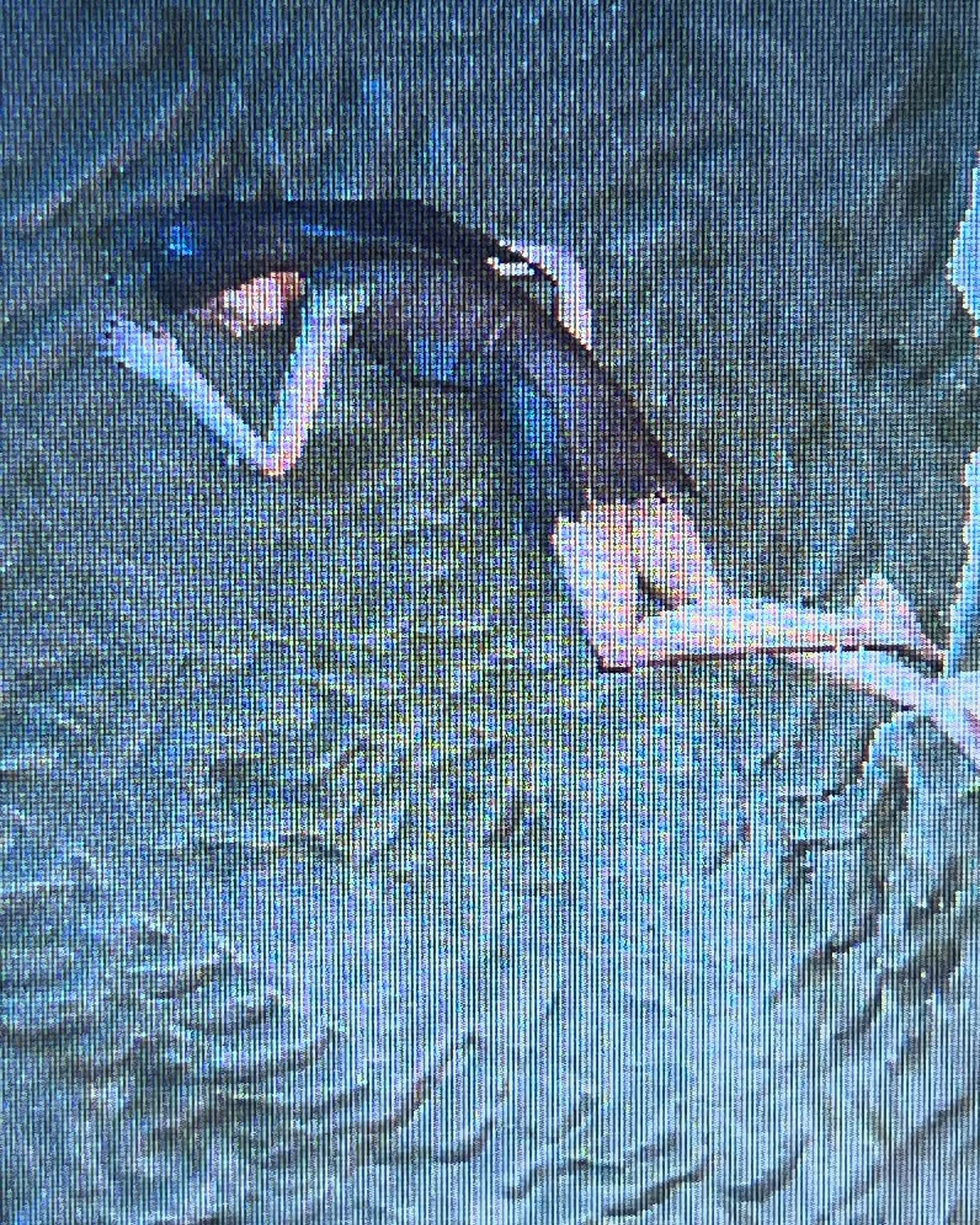 cata.leyah instagram image archive image