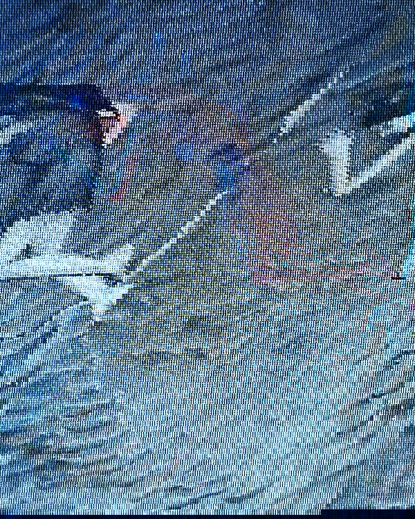 cata.leyah image ~ Altpins