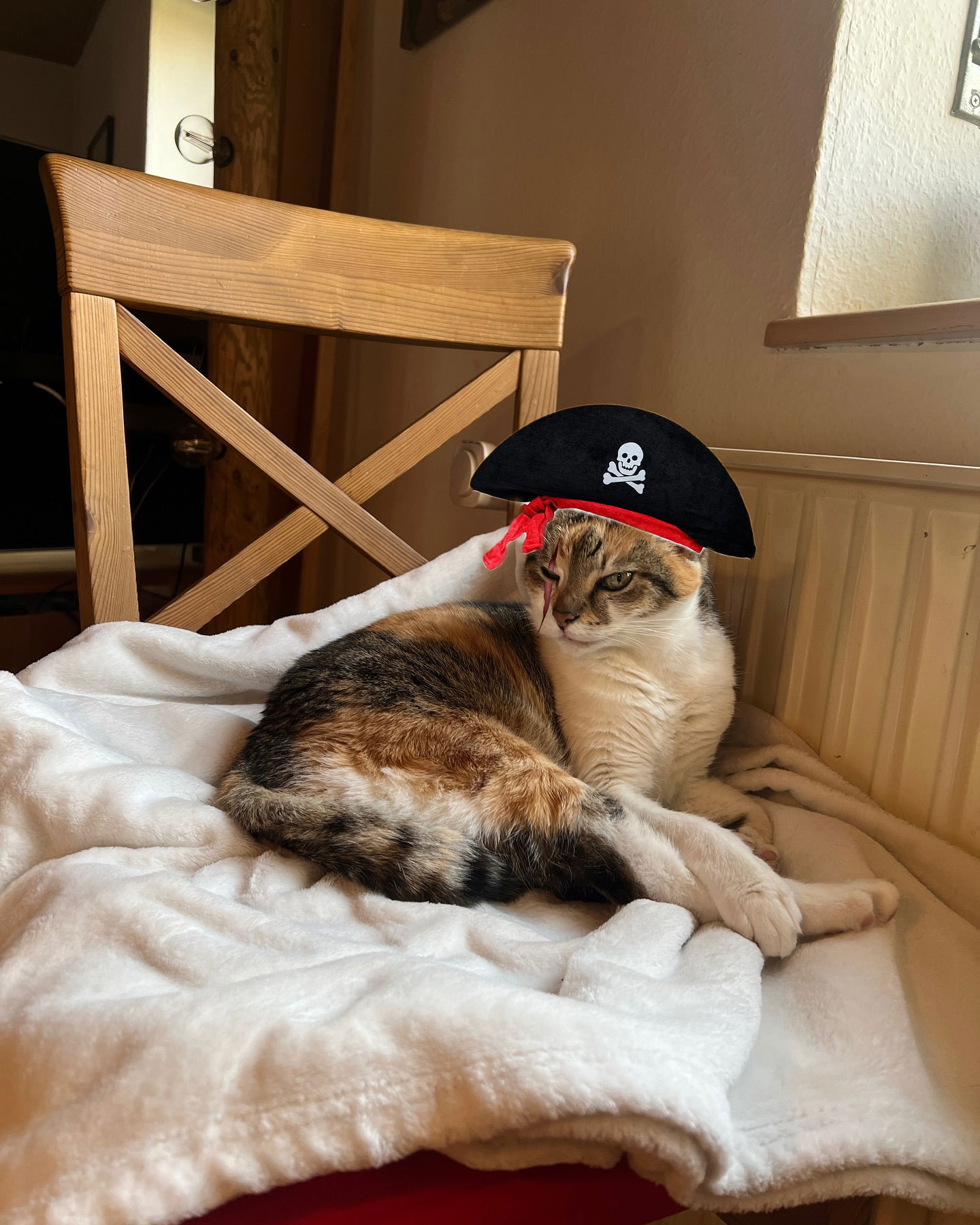 cata.leyah instagram image archive image