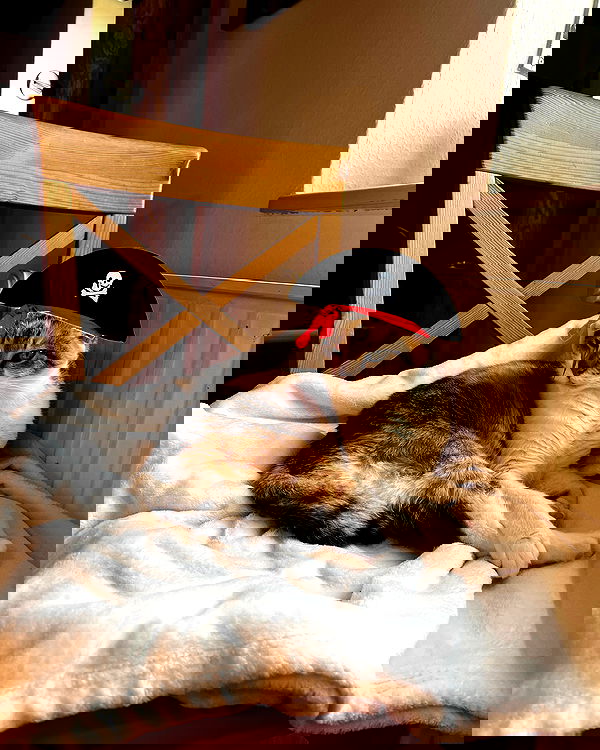 cata.leyah image ~ Altpins