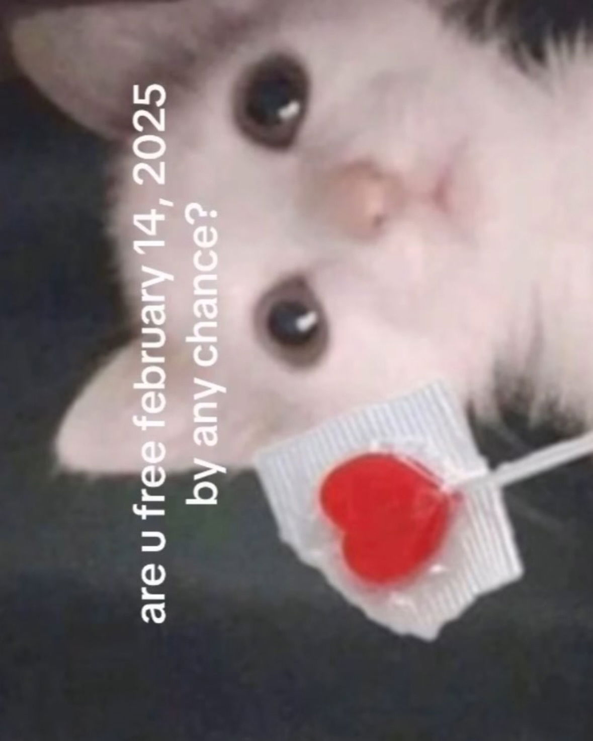 cata.leyah instagram image archive image