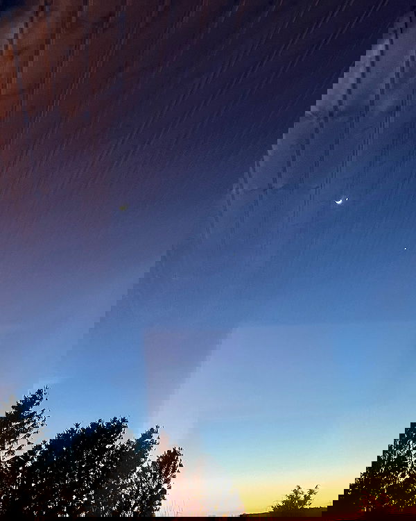 cata.leyah image ~ Altpins