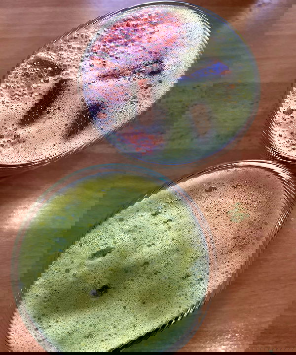 cata.leyah image ~ Altpins