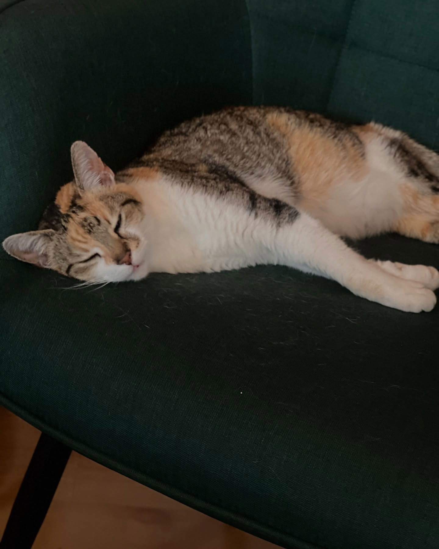 cata.leyah instagram image archive image